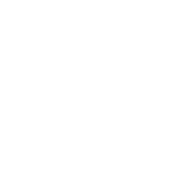 flygt