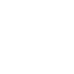 lowara